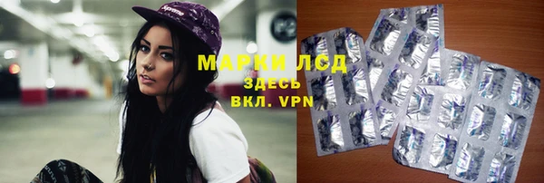 гидра Алексеевка