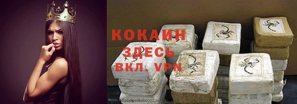 гидра Алексеевка