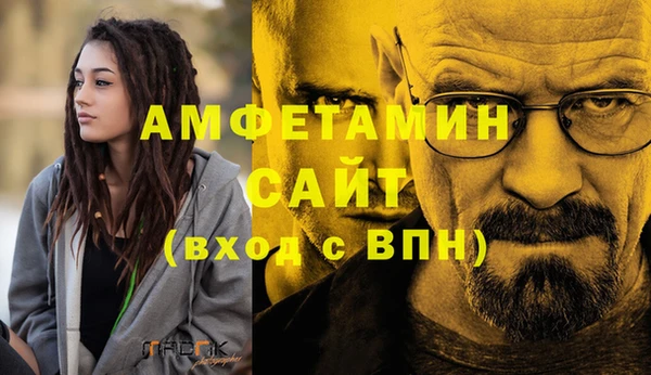 гидра Алексеевка