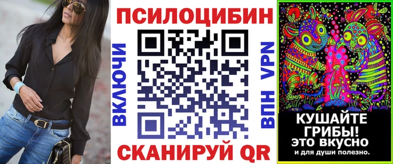 Псилоцибиновые грибы Psilocybe  Санкт-Петербург 